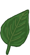 Green Leaf