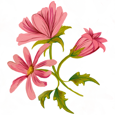Flower pink with leaves